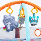 Развивающий коврик - манеж Крошка Я «Енот», 3 в 1, 68×68 см, 30 цветных шариков, 5 игрушек - Фото 14