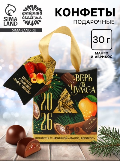 Подарочные конфеты «Верь в чудеса», в пакете с ручкой, 30 г