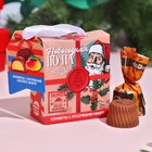 Подарочные конфеты «Новогодняя почта», с кусочками манго, 30 г. - фото 11512787