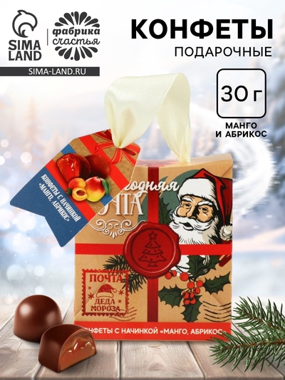 Подарочные конфеты «Новогодняя почта», в пакете с ручкой, 30 г