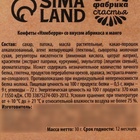 Подарочные конфеты «Новогодняя почта», в пакете с ручкой, 30 г - Фото 4