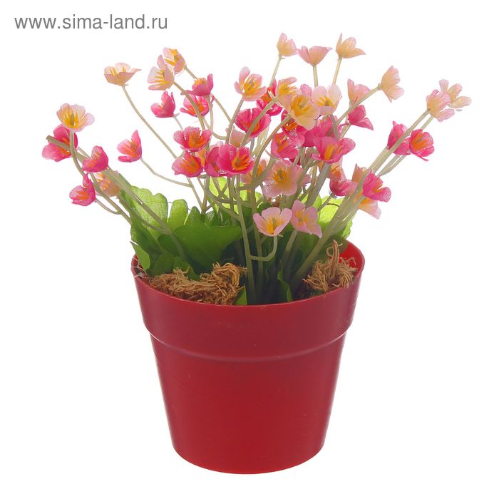 композиция подвесная 10*7 см незабудки - Фото 1