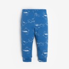 Комплект: джемпер и брюки Крошка Я "Dino", рост 74-80 см, цвет синий - Фото 5