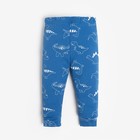 Комплект: джемпер и брюки Крошка Я "Dino", рост 74-80 см, цвет синий - Фото 8