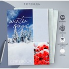 Тетрадь А4, 48 листов в клетку Calligrata "Зима", обложка мелованный картон, блок офсет - фото 23320508