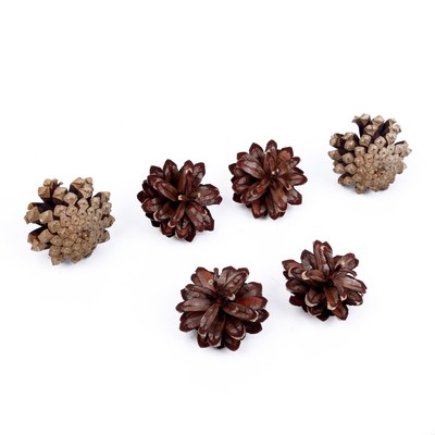 Новогодний декор «Набор натуральных шишек», 6 шт.