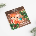 Ароматизатор для дома «Пусть Зима будет теплой», 11 х 11 см, аромат горячего шоколада - Фото 2