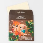 Ароматизатор для дома «Пусть Зима будет теплой», 11 х 11 см, аромат горячего шоколада - Фото 5