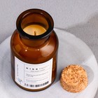 Набор подарочный: диффузор 120 мл, свеча ароматическая, 120 г, можжевельник. лаванда - Фото 8