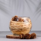 Набор ароматический: ваза-саше с шишками, ароматическое масло "Красное помело", 10 мл - фото 8561237
