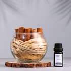 Набор ароматический: ваза-саше с корицей, ароматическое масло "Шалфей и морская соль", 10 мл   79992 - фото 4395741