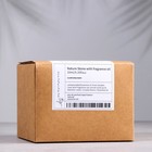 Набор ароматический: ваза-саше с корицей, ароматическое масло "Шалфей и морская соль", 10 мл 79992 - Фото 3