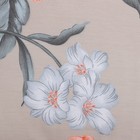 Постельное бельё LoveLife 1,5сп «Флора» 143х215 см, 150х225 см, 50х70 см-2шт,100%хлопок,сатин,125г/м² - фото 34584255