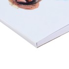 Скетчбук А5, 40 листов, на склейке, "Красота мгновения", обложка мелованная бумага, жёсткая подложка, блок 100 г/м² - фото 6667383