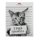 Тетрадь 96 листов в клетку "Кот-обормот", обложка мелованный картон, блок 65 г/м², МИКС - фото 24242979