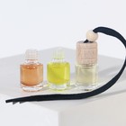 Ароматизаторы в машину новогодние «Будь всегда первым», кофе, чёрный лёд, цитрус, набор 3 шт - Фото 3