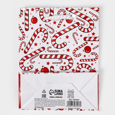 Пакет подарочный новогодний ламинированный «Зимняя история», S 12 х 15 х 5.5 см