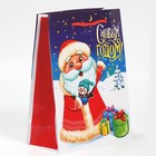 Пакет ламинированный вертикальный «Дедушка Мороз», MS 18 × 23 × 8 см - Фото 2
