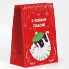 Пакет подарочный новогодний ламинированный «Котейка», MS 18×23×8 см 7697943