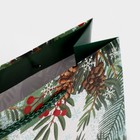 Пакет ламинированный горизонтальный «Зимний лес», MS 23 × 18 × 8 см - Фото 5