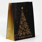 Пакет ламинированный вертикальный «Новогодняя ночь», ML 21 × 25 × 8 см - Фото 2