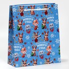 Пакет подарочный новогодний ламинированный «Счастье рядом», ML 21×25×8 см 7697953