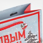 Пакет ламинированный вертикальный «Дедушка мороз», ML 21 × 25 × 8 см - Фото 5