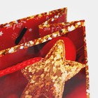 Пакет ламинированный вертикальный «Скоро Новый год», ML 21 × 25 × 8 см - Фото 5