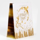 Пакет ламинированный вертикальный «Золотая вьюга», ML 21 × 25 × 8 см - Фото 2