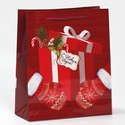 Пакет ламинированный вертикальный «Тепло и Уют», ML 21 х 25 х 8 см, Новый год - фото 21717048