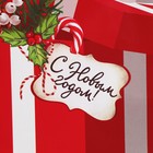 Пакет ламинированный вертикальный «Тепло и Уют», ML 21 х 25 х 8 см, Новый год - фото 21717049