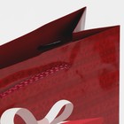 Пакет ламинированный вертикальный «Тепло и Уют», ML 21 х 25 х 8 см, Новый год - фото 21717050