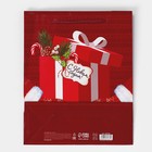 Пакет ламинированный вертикальный «Тепло и Уют», ML 21 х 25 х 8 см, Новый год - фото 21717052