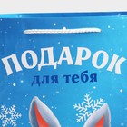 Пакет подарочный новогодний ламинированный «Зайчонок», L 28 х 38 х 9 см 7697968 - фото 16746232