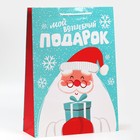 Пакет ламинированный вертикальный «Волшебный подарочек», L 28 × 38 × 9 см 7697969 - фото 9904399