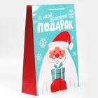 Пакет подарочный новогодний ламинированный «Волшебный подарочек», L 28×38×9 см 7697969