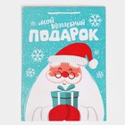 Пакет подарочный новогодний ламинированный «Волшебный подарочек», L 28×38×9 см 7697969