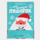 Пакет подарочный новогодний ламинированный «Волшебный подарочек», L 28×38×9 см 7697969