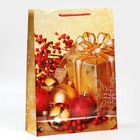 Пакет подарочный новогодний ламинированный «Поздравляю», L 28×38×9 см 7697970