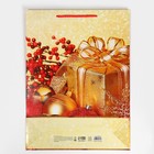 Пакет подарочный новогодний ламинированный «Поздравляю», L 28×38×9 см 7697970