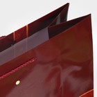 Пакет ламинированный XL «Бант», 40 × 49 × 15 см - Фото 5