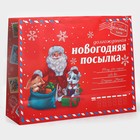 Пакет подарочный новогодний ламинированный «НГ посылка», XXL 46 х 61 х 20 см, Новый год 7724331 - фото 12636310