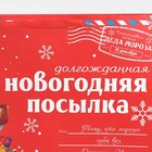 Пакет подарочный новогодний ламинированный «НГ посылка», XXL 46 х 61 х 20 см, Новый год 7724331 - фото 12636311