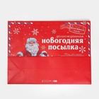 Пакет подарочный новогодний ламинированный «НГ посылка», XXL 46 х 61 х 20 см, Новый год 7724331 - фото 12636314