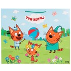 Пакет подарочный глянцевый «Три Кота», 40 × 49 × 19 см - фото 29546244