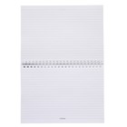 Тетрадь 48 листов в линованная на гребне "Ленивец", обложка мелованный картон, матовая ламинация, тиснение, блок 70 г/м² - фото 38157703