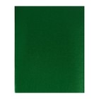 Тетрадь 48 листов в клетку на скрепке METALLIC "Зелёная", обложка бумвинил, блок офсет - фото 319811389