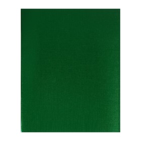 Тетрадь 48 листов в клетку на скрепке METALLIC "Зелёная", обложка бумвинил, блок офсет