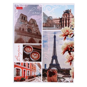 Тетрадь на 4-х кольцах А5, 120 листов клетка "Париж", твёрдая обложка, глянцевая ламинация - 9202324