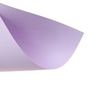 Бумага цветная А3, 297 х 420 мм, 5 листов, 5 цветов, двухсторонняя, тонированная - фото 24119865